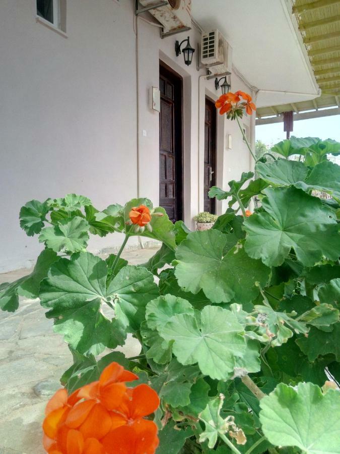 Apartamento Εmmi Koutsounari Exterior foto