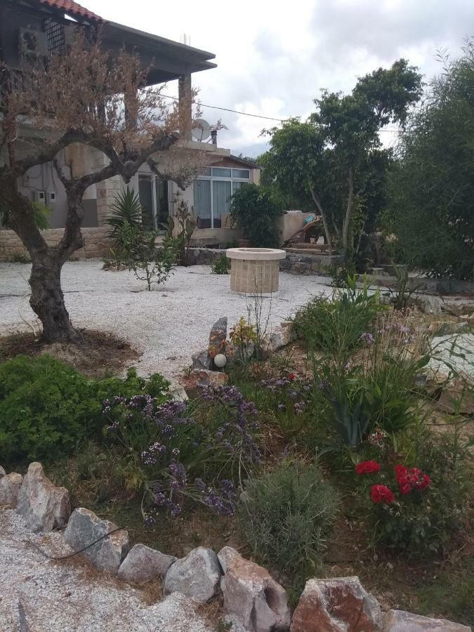 Apartamento Εmmi Koutsounari Exterior foto